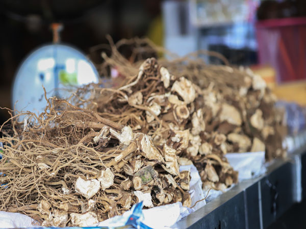 Dried yaqona root