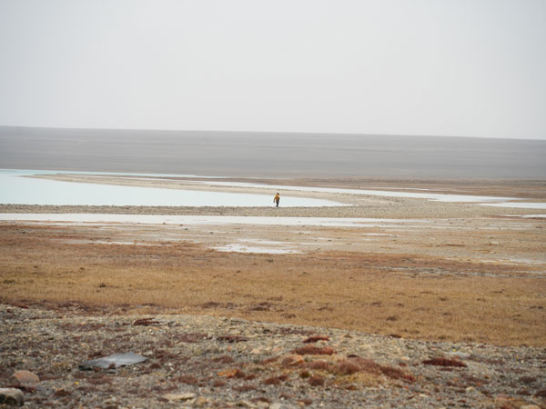 Pasley Bay excursion