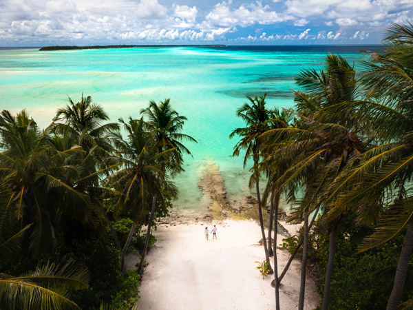 a couple walking hand in hand on the pristine white sand beach surrounded by palm trees in the Maldives
