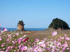 Kkotji Beach, South Korea