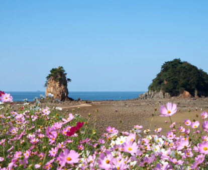 Kkotji Beach, South Korea