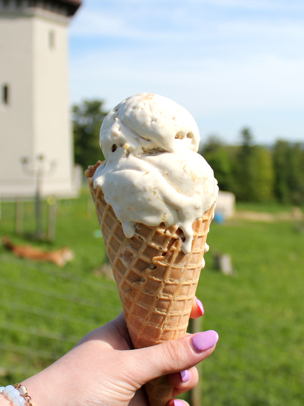 High Lawn Farm ice cream