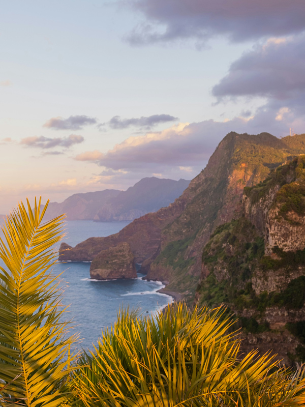 madeira coastline