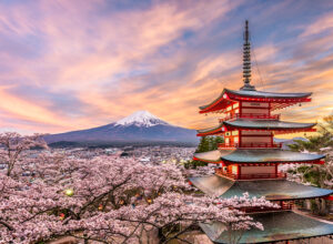 Chureito Pagoda at sunset with cherry blossoms
