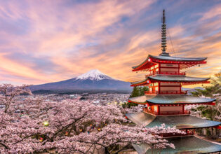 Chureito Pagoda at sunset with cherry blossoms