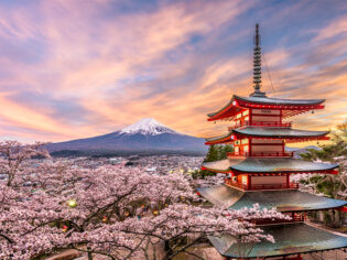 Chureito Pagoda at sunset with cherry blossoms