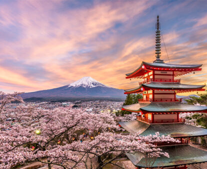 Chureito Pagoda at sunset with cherry blossoms