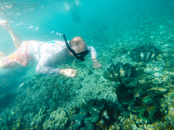 Man snorkelling to see the giant clams in Samoa