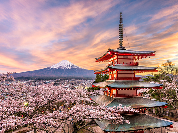 Chureito Pagoda at sunset with cherry blossoms