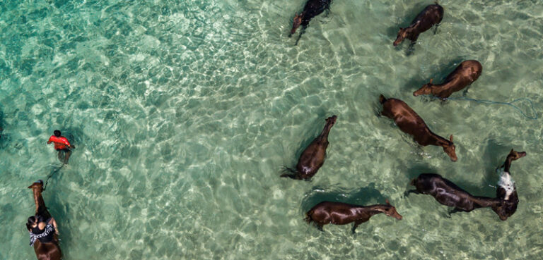 Take your trusty steed out to sea at NIHI Sumba.