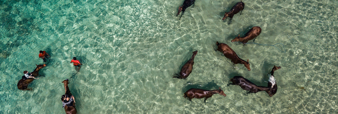 Take your trusty steed out to sea at NIHI Sumba.