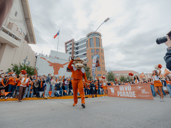 Bevo, the Texas Longhorns mascot