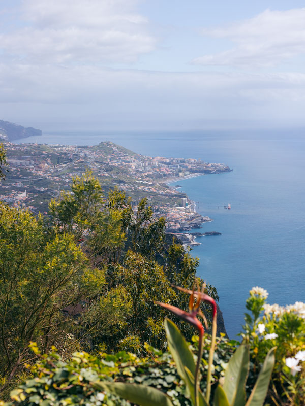 lush greenery above Funchal