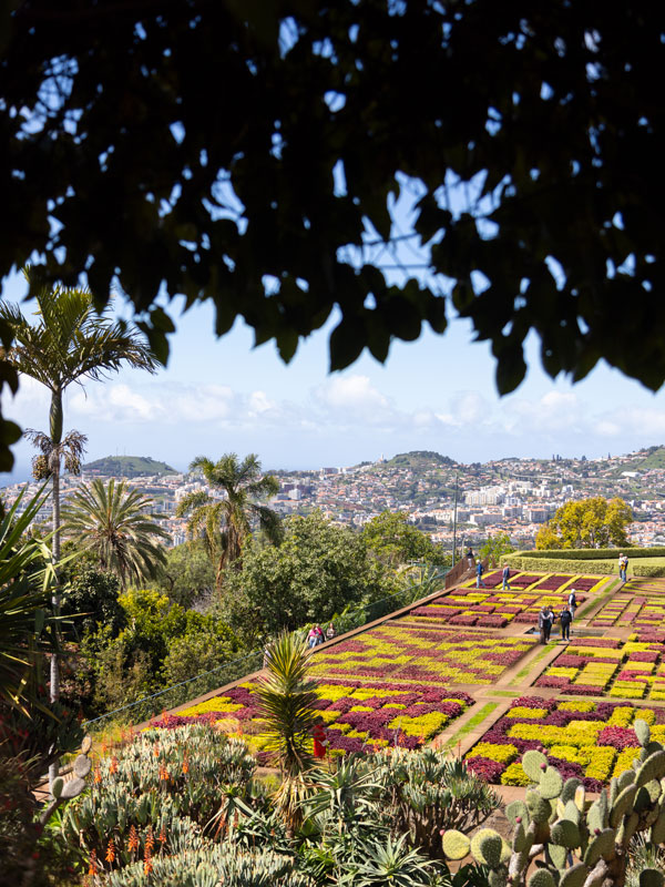 the view from the Botanical Garden, Madeira