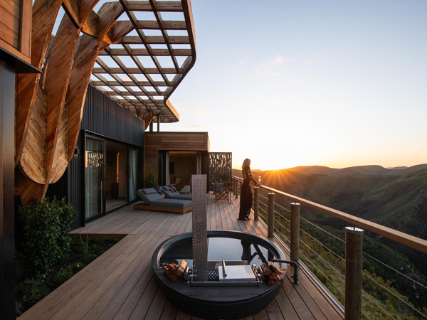 Mantis Hiddn in Addo, South Africa