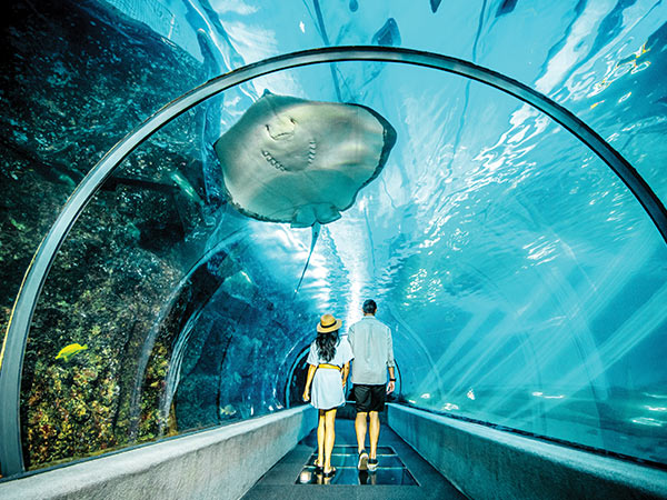 couple in tunnel at Maui Ocean Center