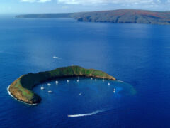 Molokini Crater, maui guide