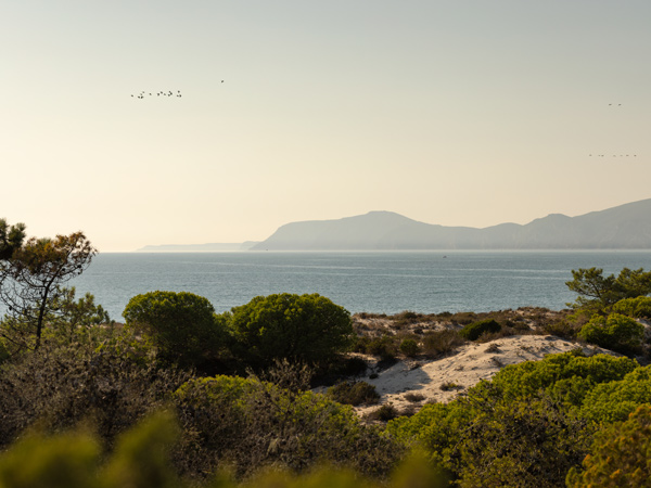 the Portugal coastline view from Na Praia, Comporta
