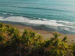 aerial of Playa Hermosa in costa rica