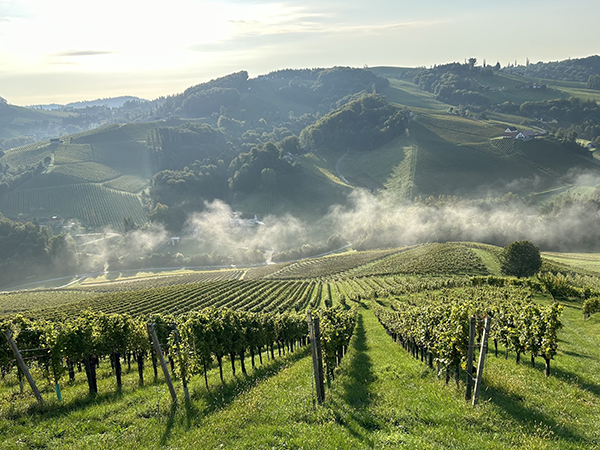 South Styrian Wine Road is lined with scenic vineyards.