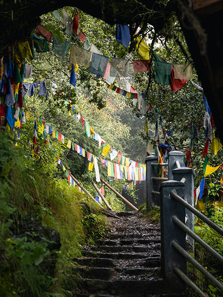  hike up to Tiger&rsquo;s Nest