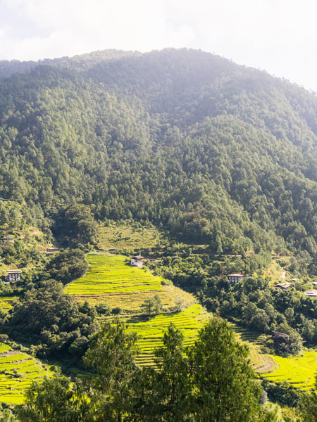 views in Punakha