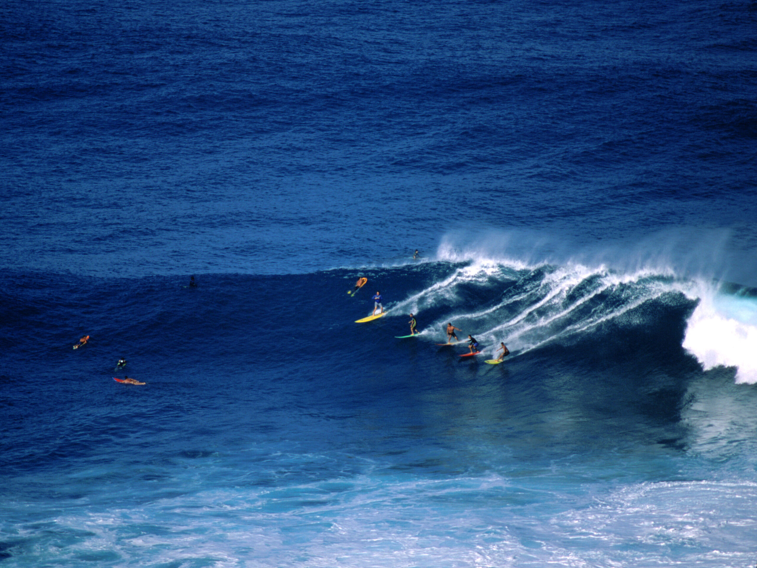surfing at Waimea Bay, Oahu
