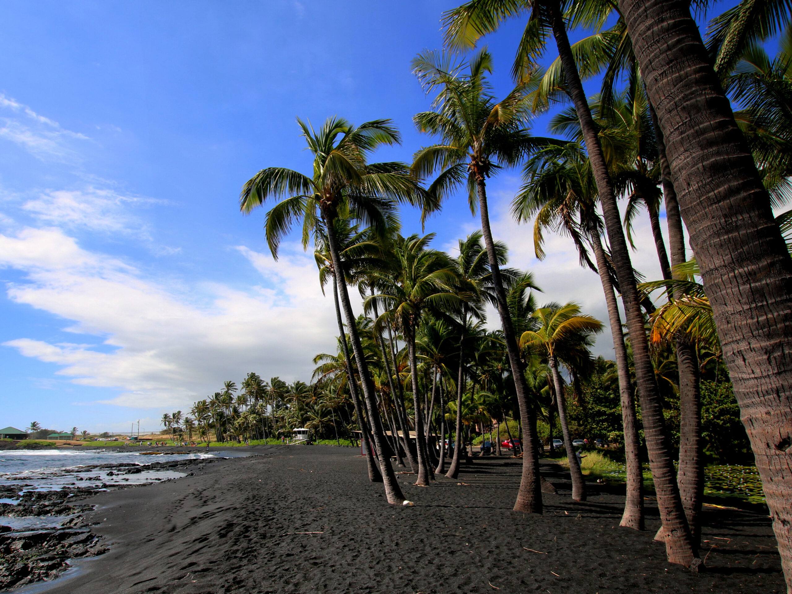 Punalu'u black sand beach on Big Island Hawaii