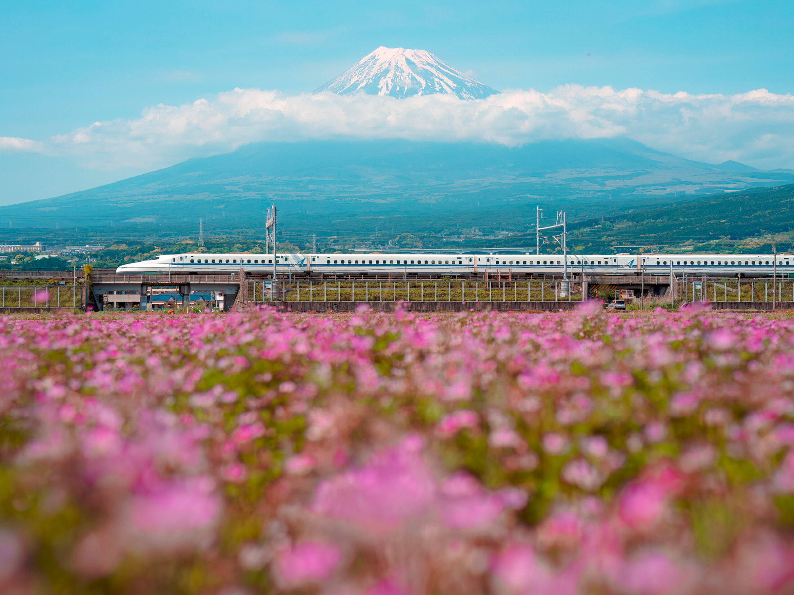 Shinkansen bullet train in Japan
