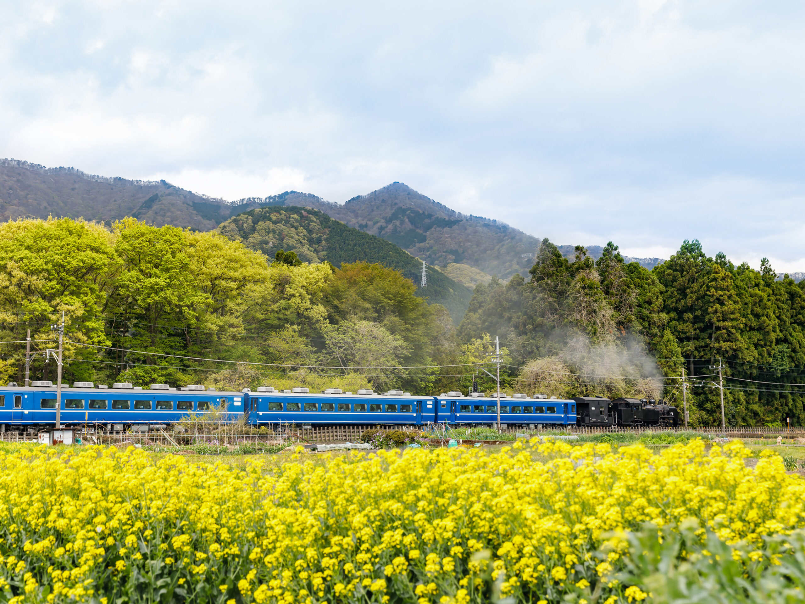 a train on the Tobu Railway Kinugawa Line in Tochigi Prefecture