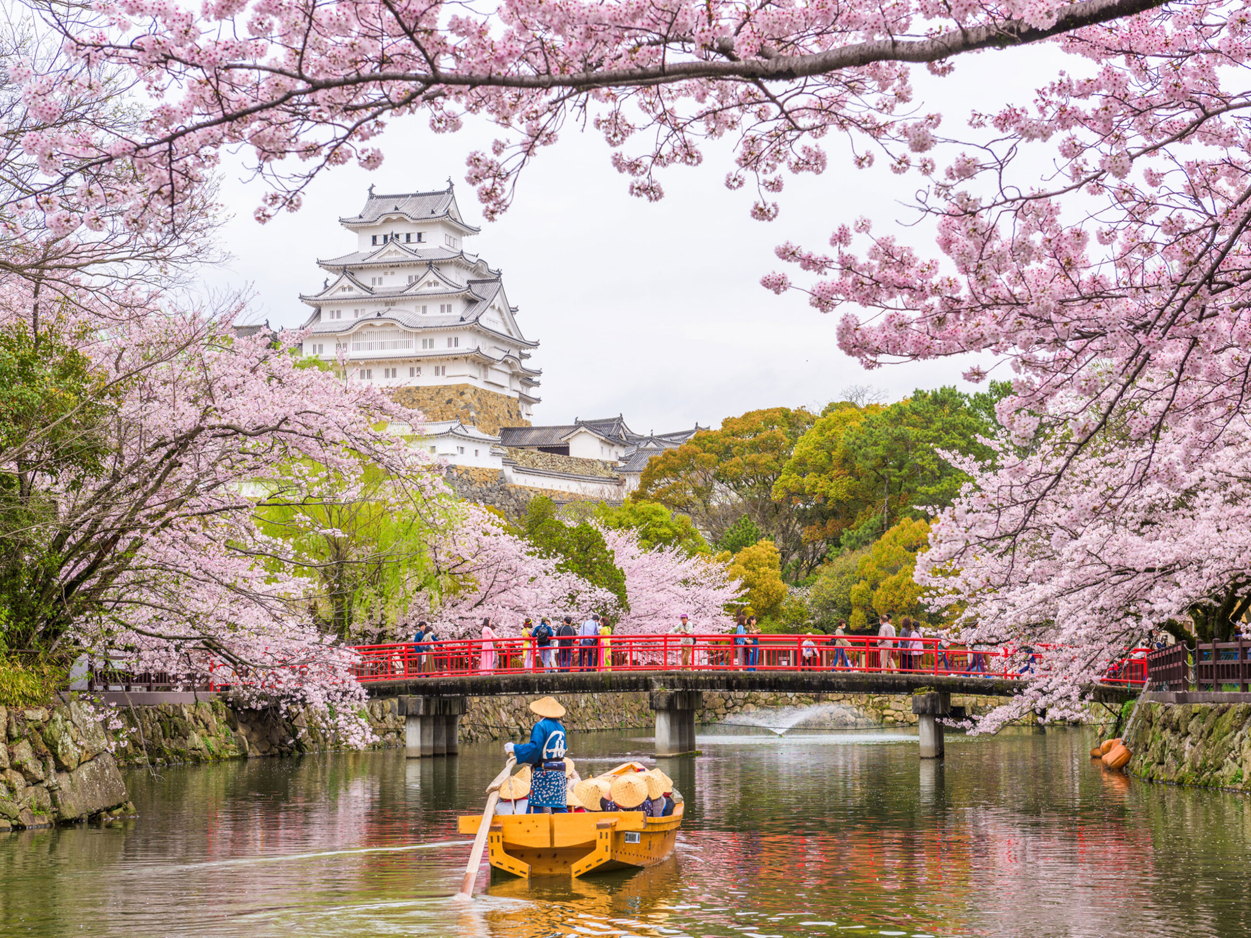 Himeji Castle in spring