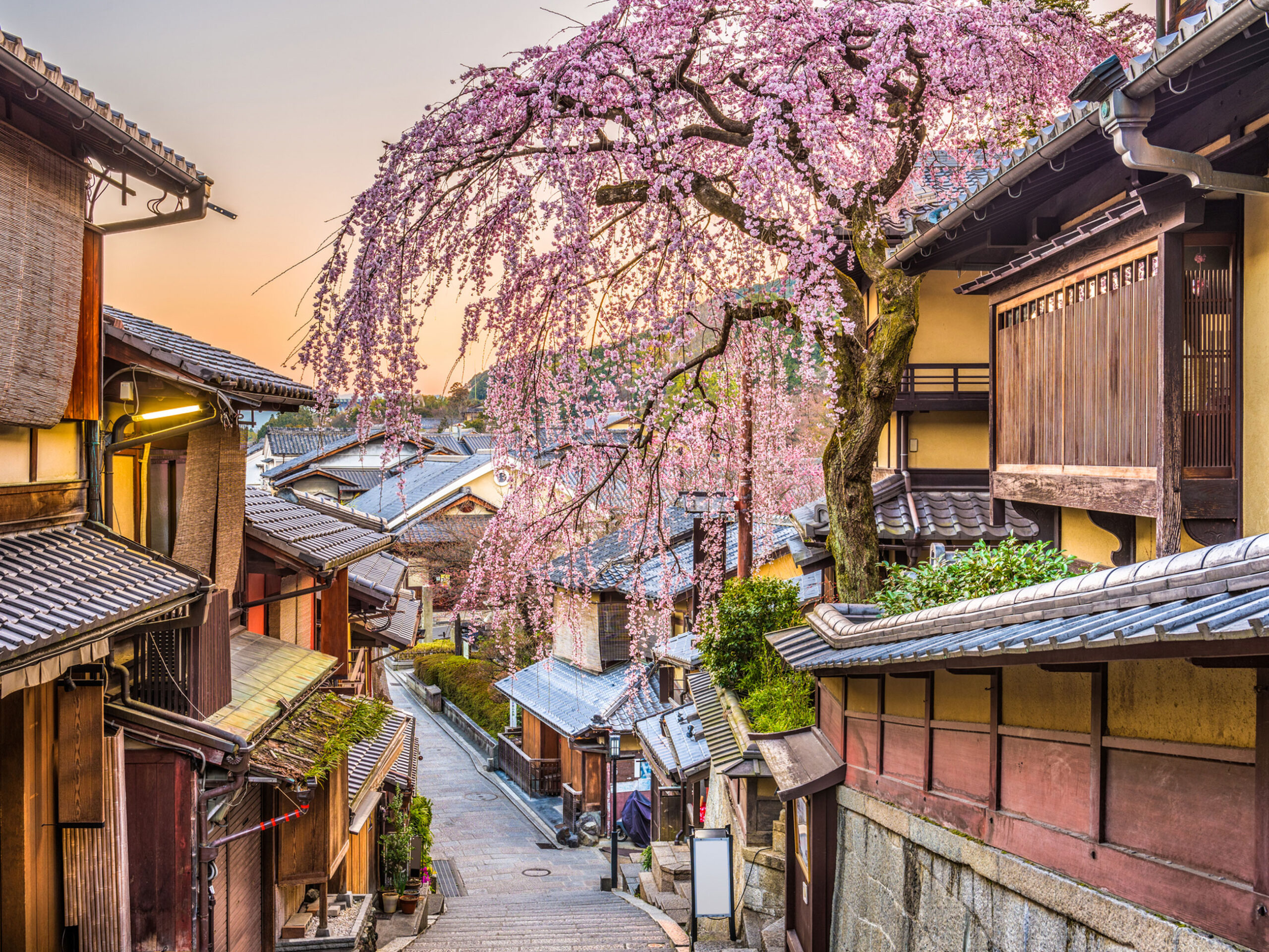 Kyoto, Japan in spring