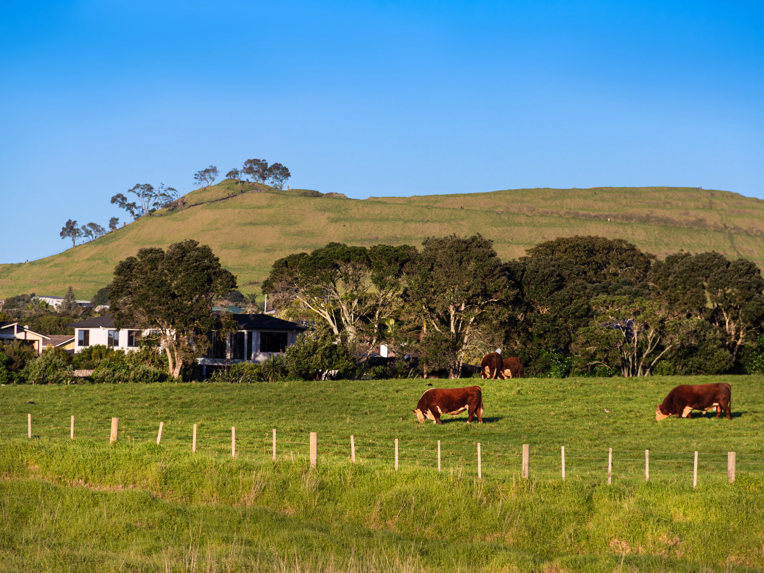 Māngere Mountain in Auckland