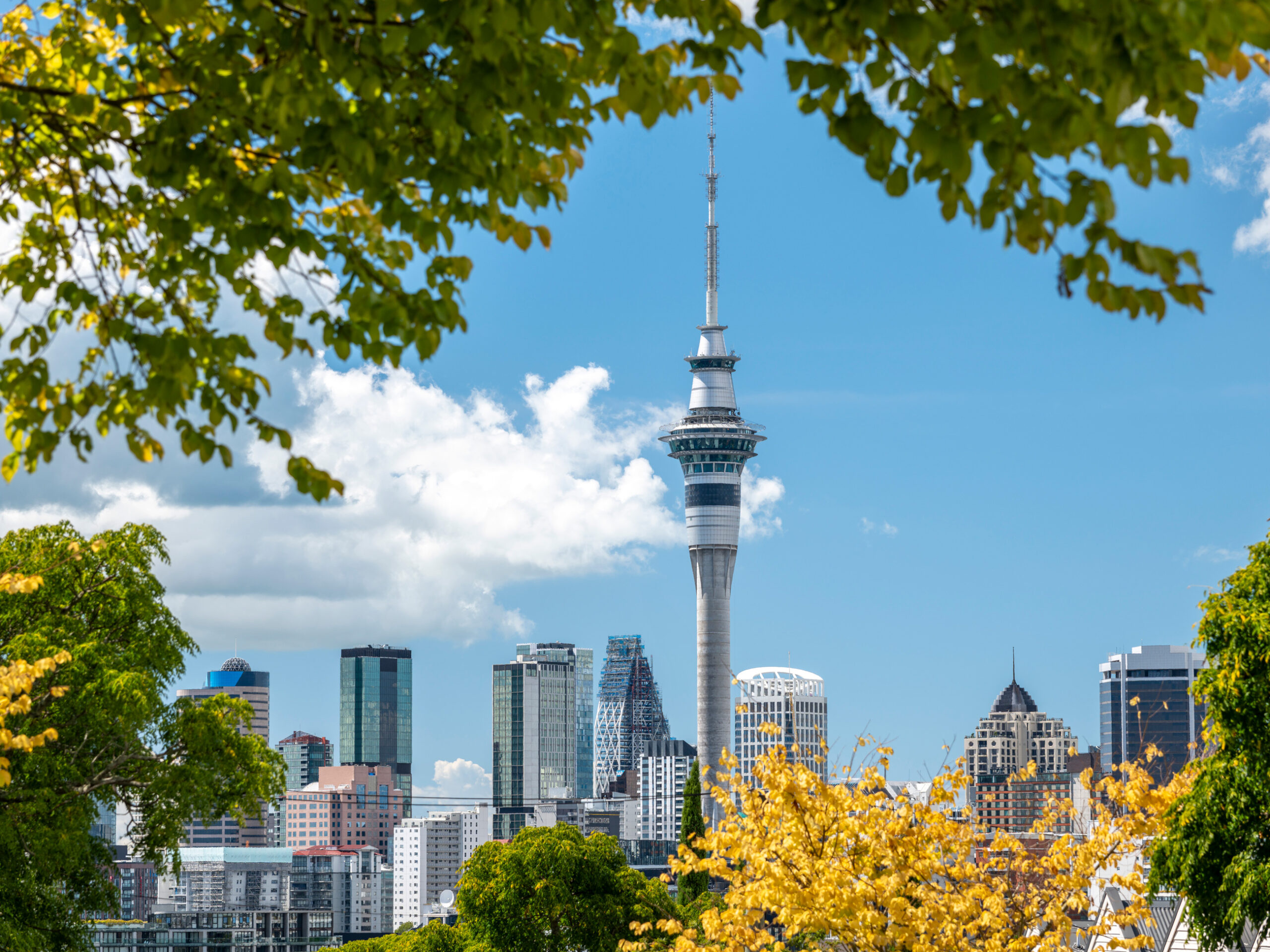 Sky Tower in Auckland