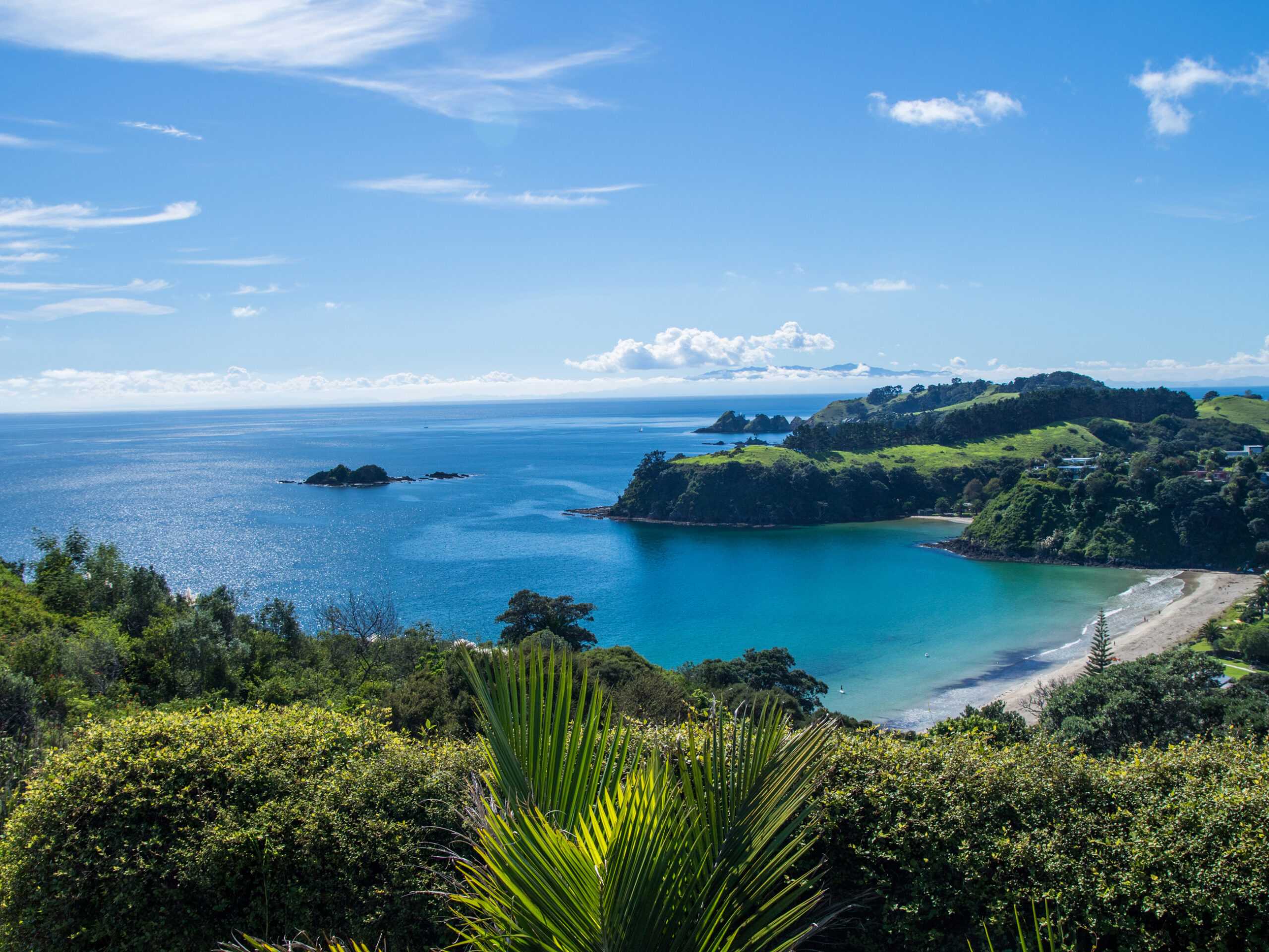 Little Palm Beach on Waiheke Island