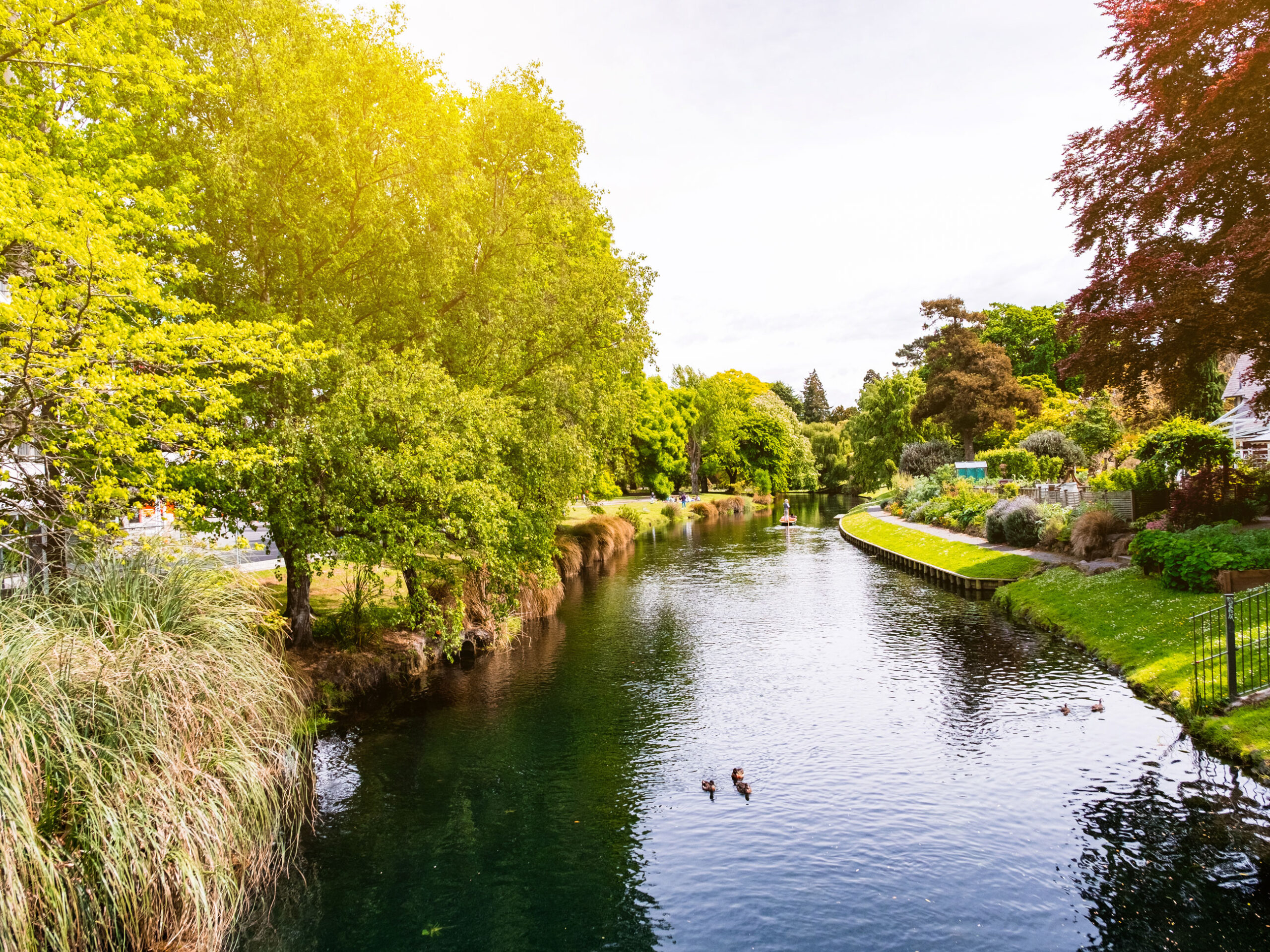 a river at Christchurch Botanic garden