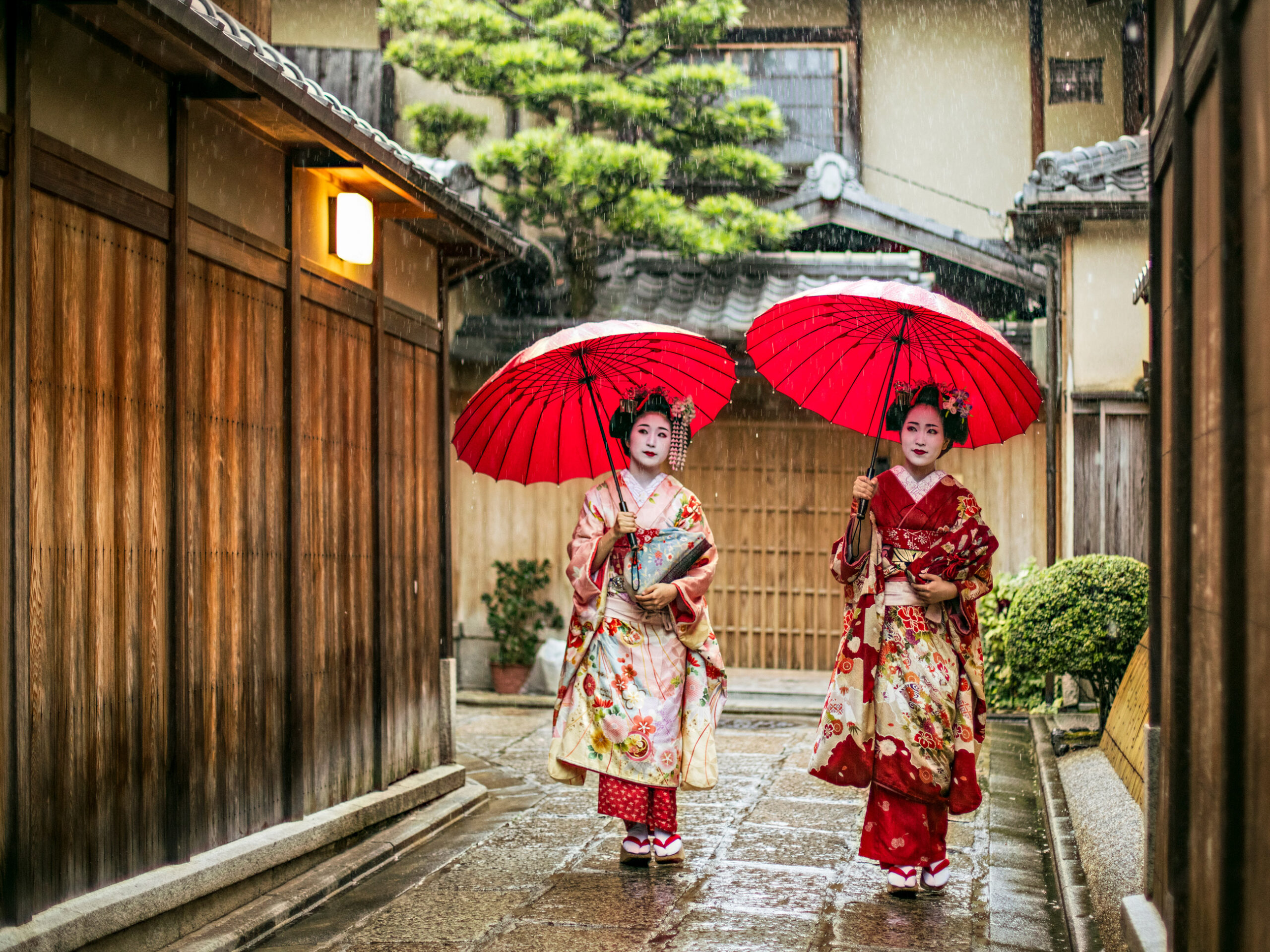 Geishas in kimono