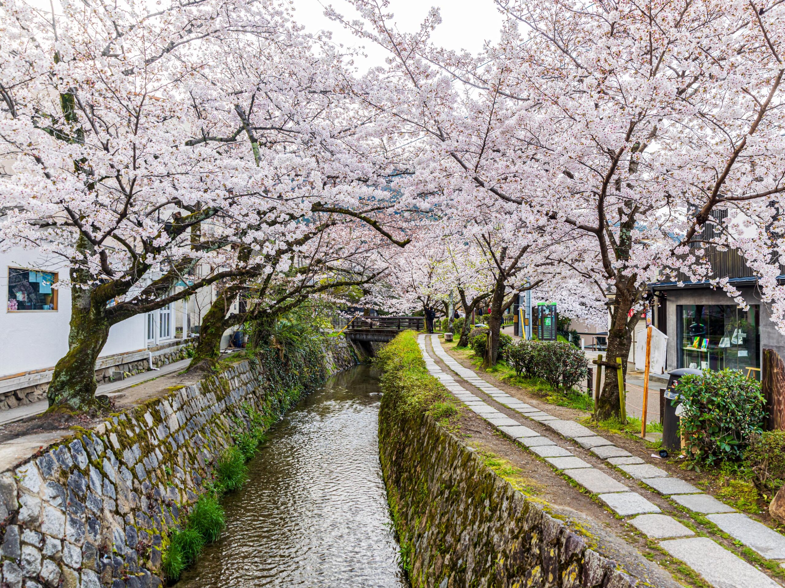 Philosopher’s Path in Kyoto