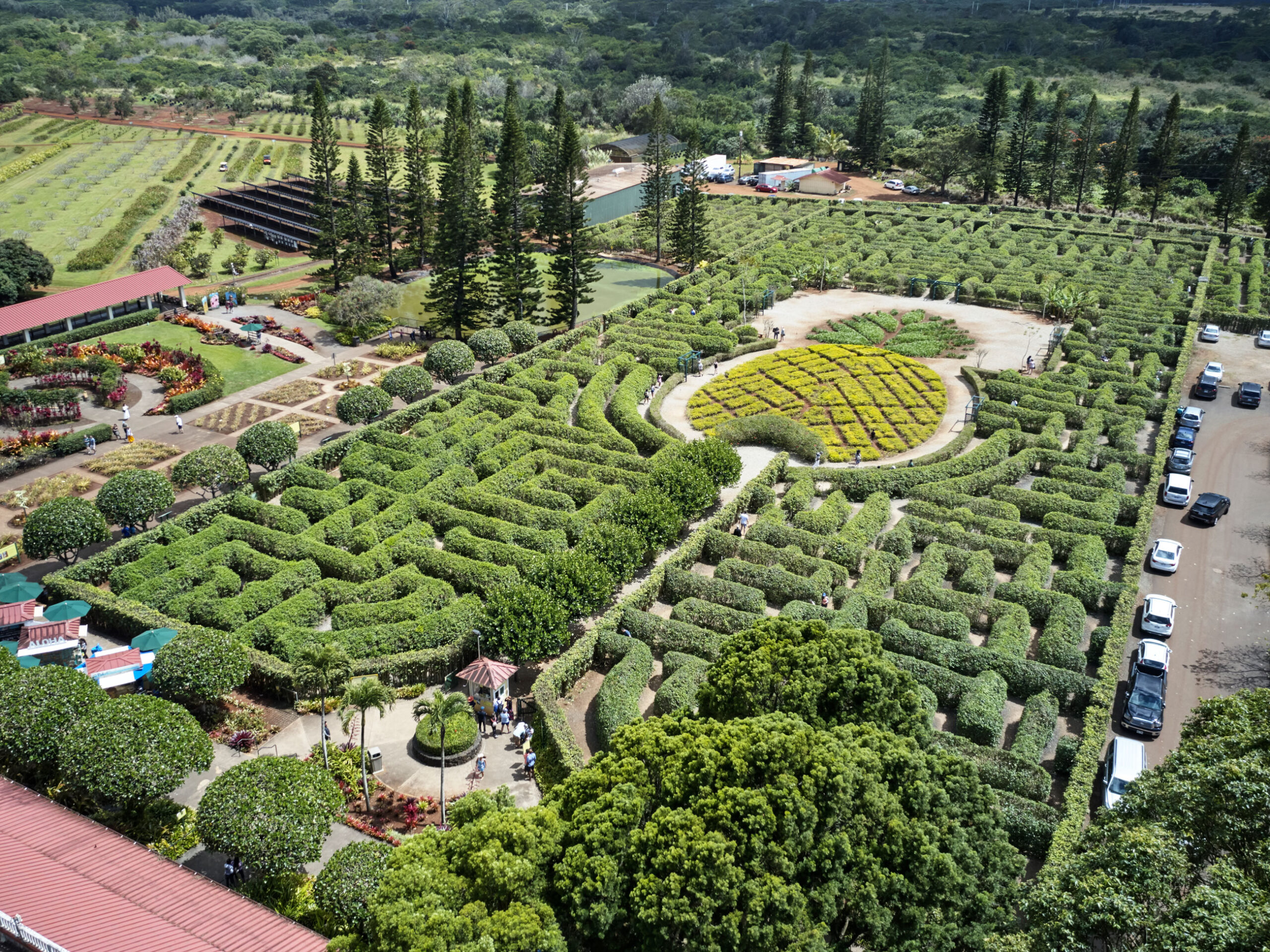 the Dole Plantation maze from above