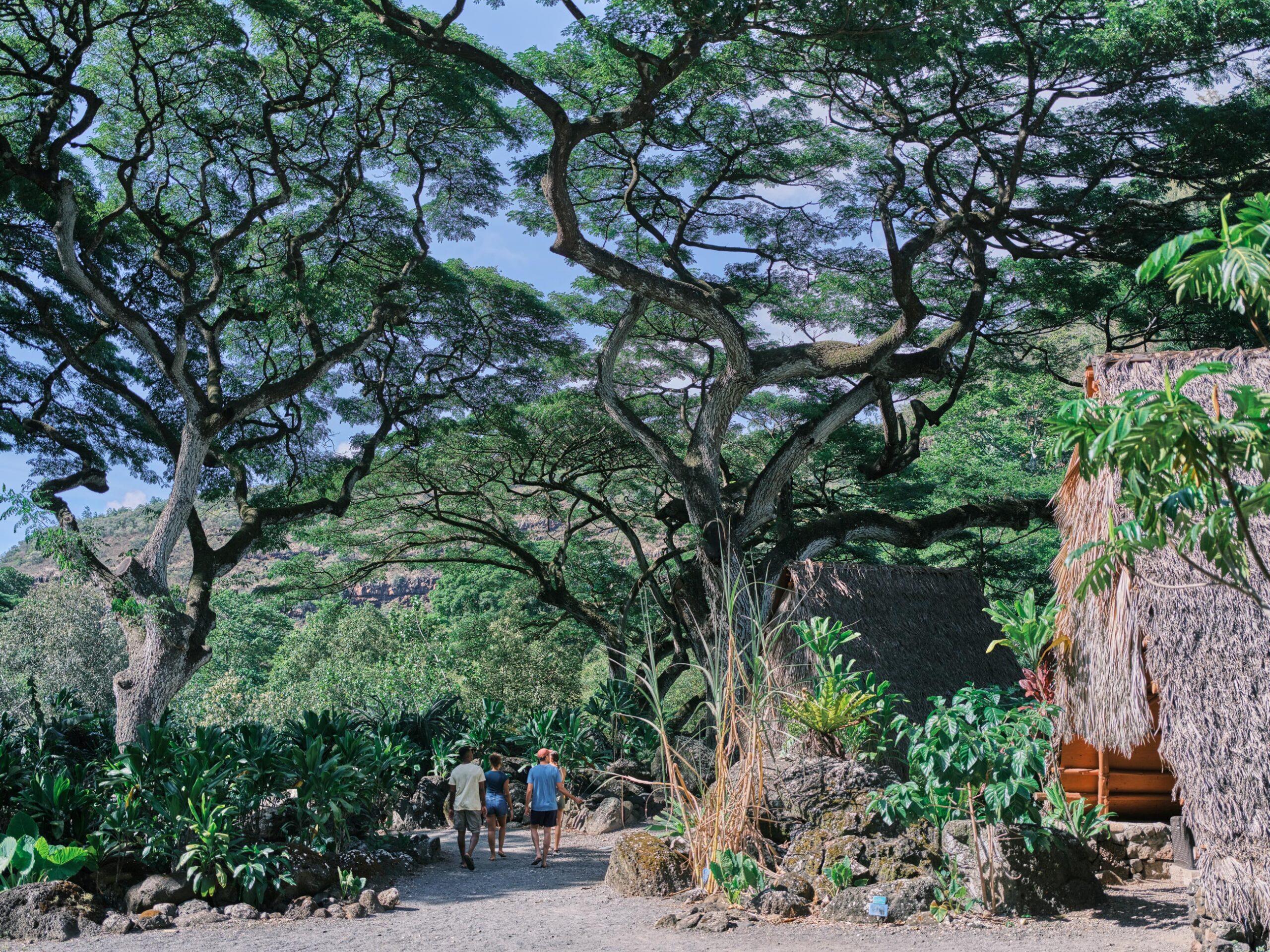 Kauhale Kahiko in Waimea Valley
