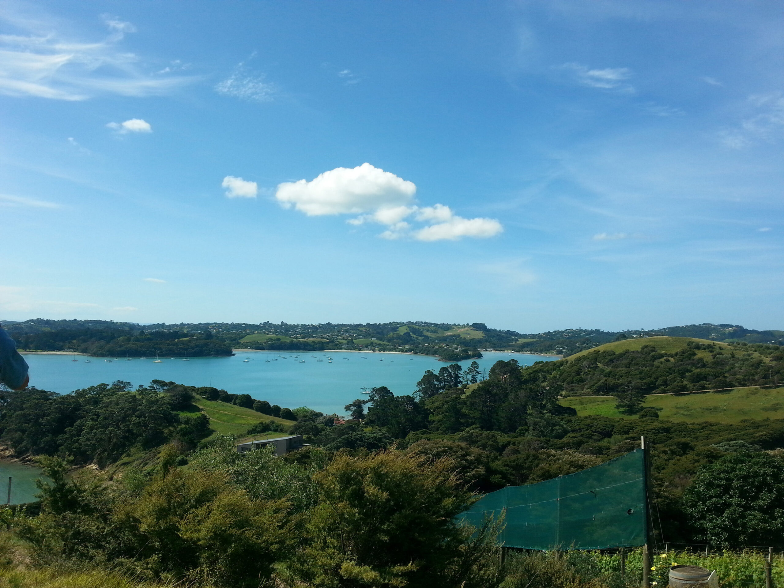 Waiheke Island from above