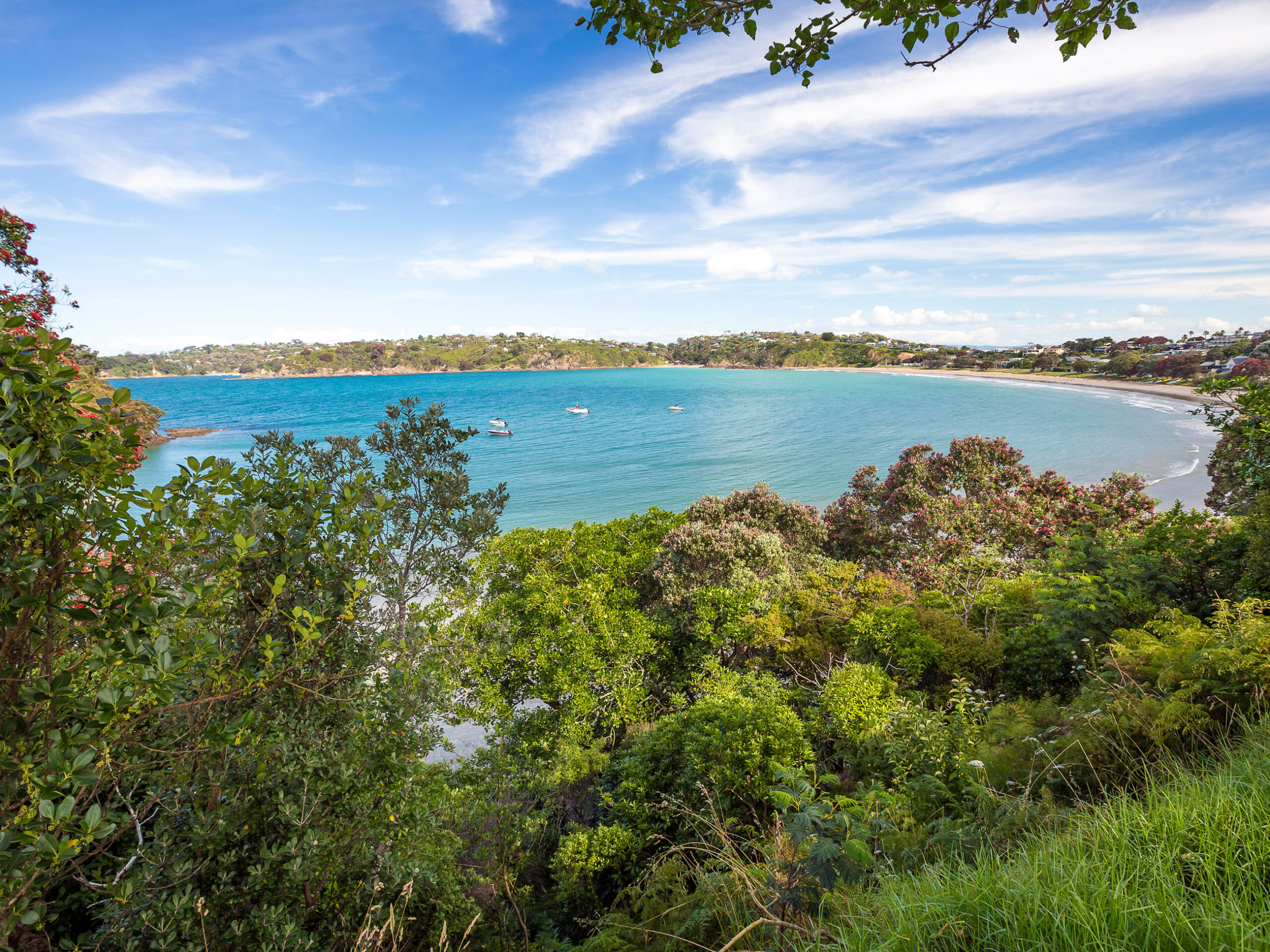 Waiheke Island coastline