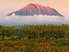 Mount Agung as seen from Gumitir Garden, Bali