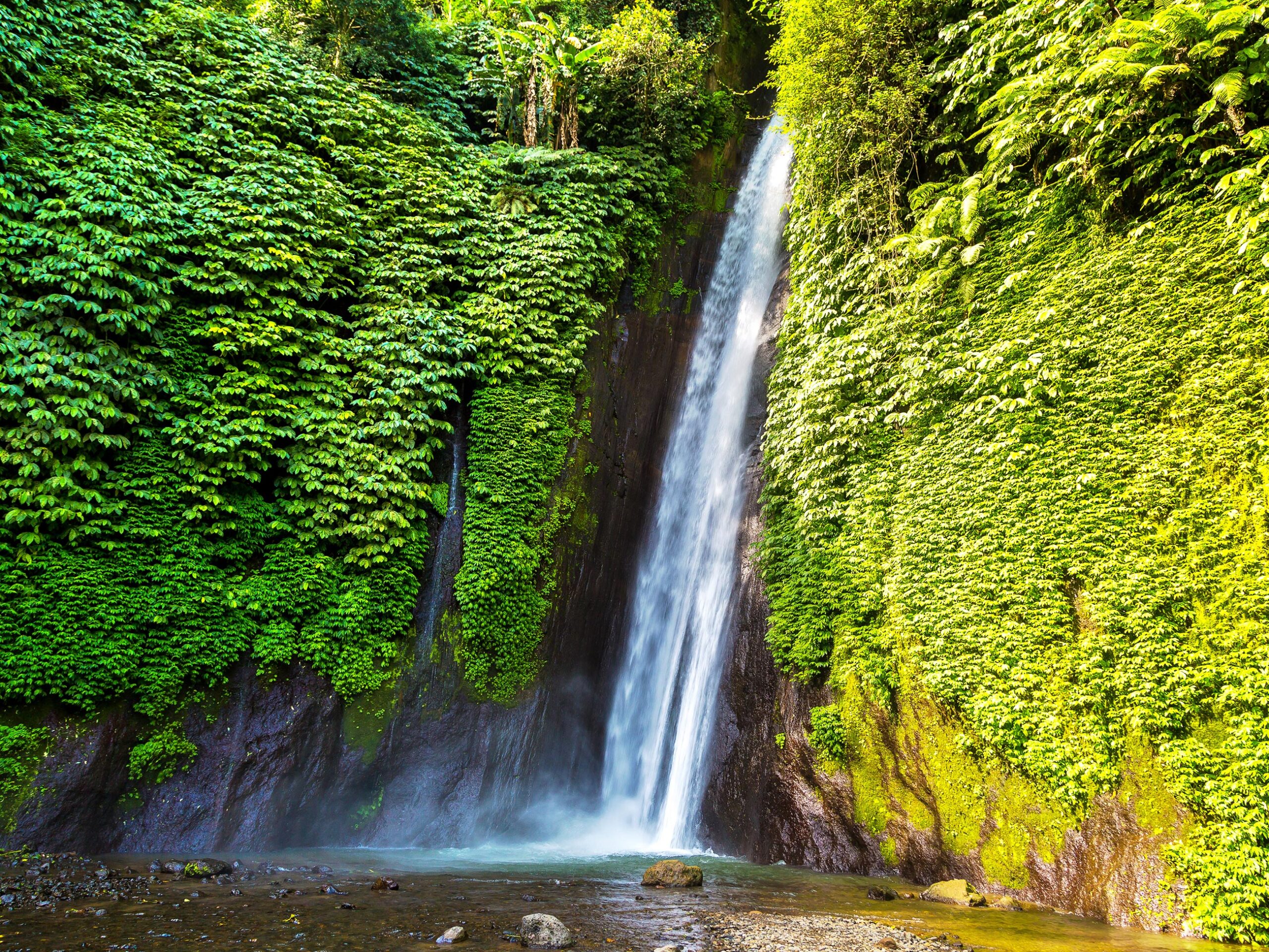 Munduk waterfall in Bali