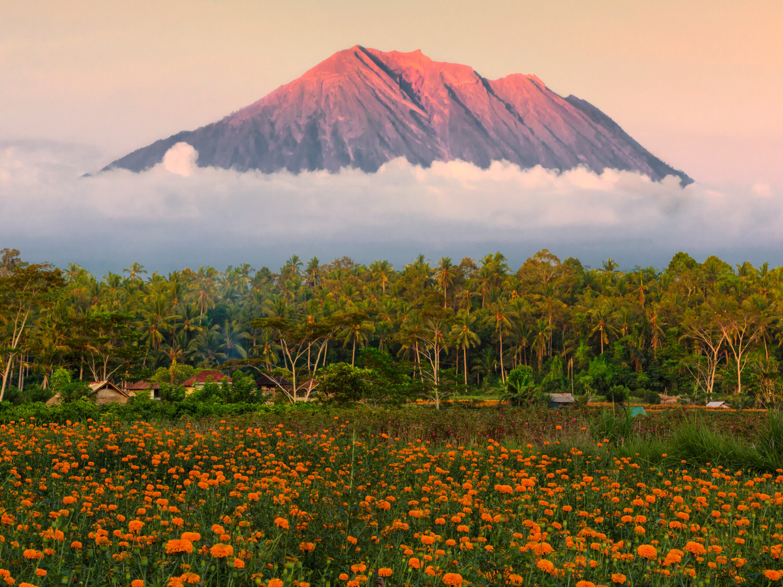 Mount Agung as seen from Gumitir Garden, Bali