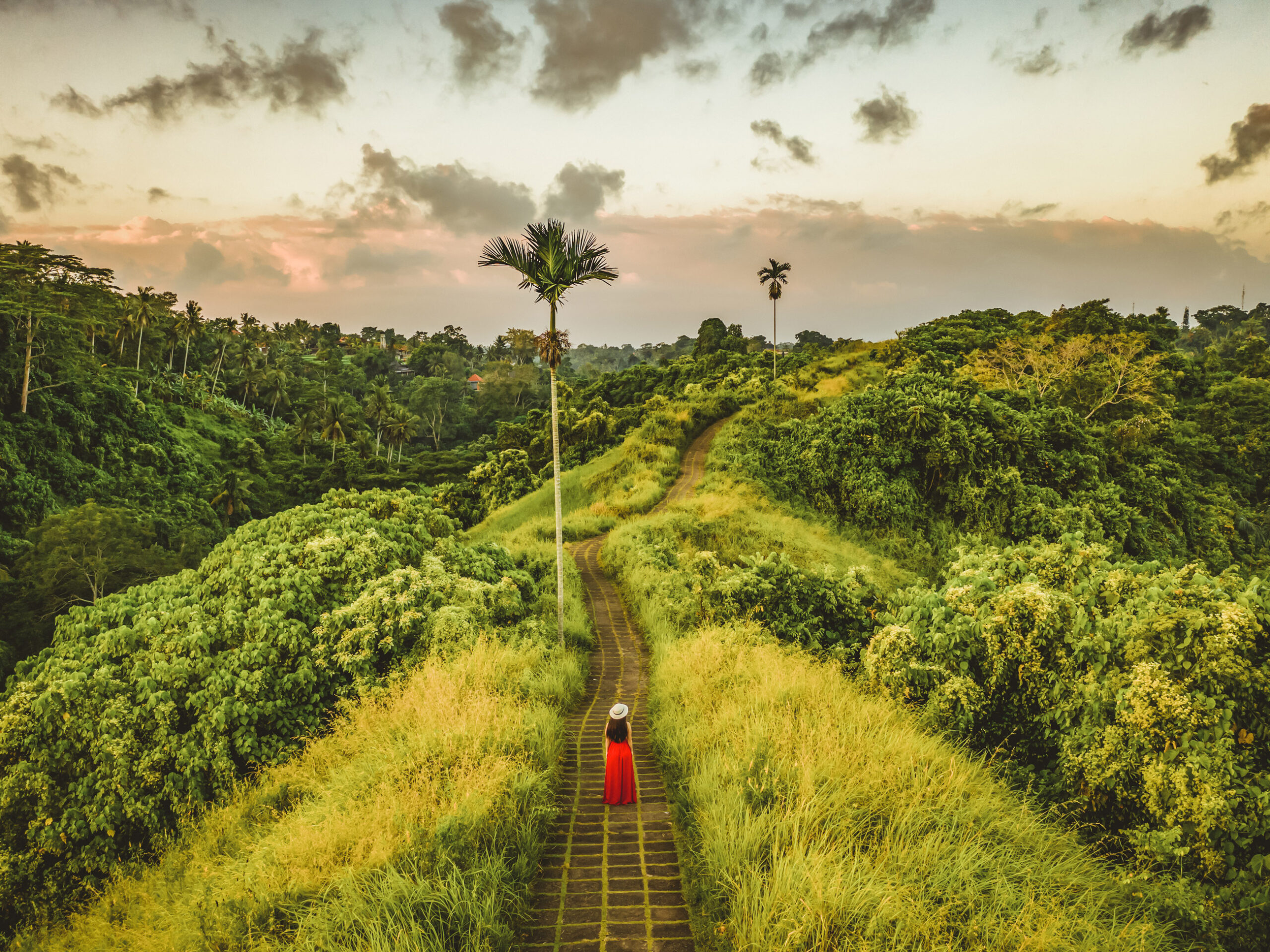 Campuhan Ridge Walk in Ubud, Bali