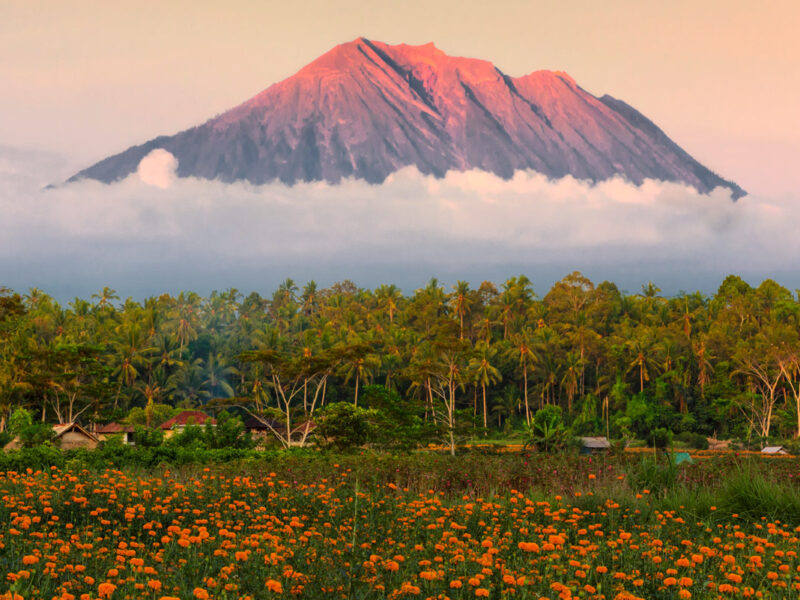 Mount Agung as seen from Gumitir Garden, Bali