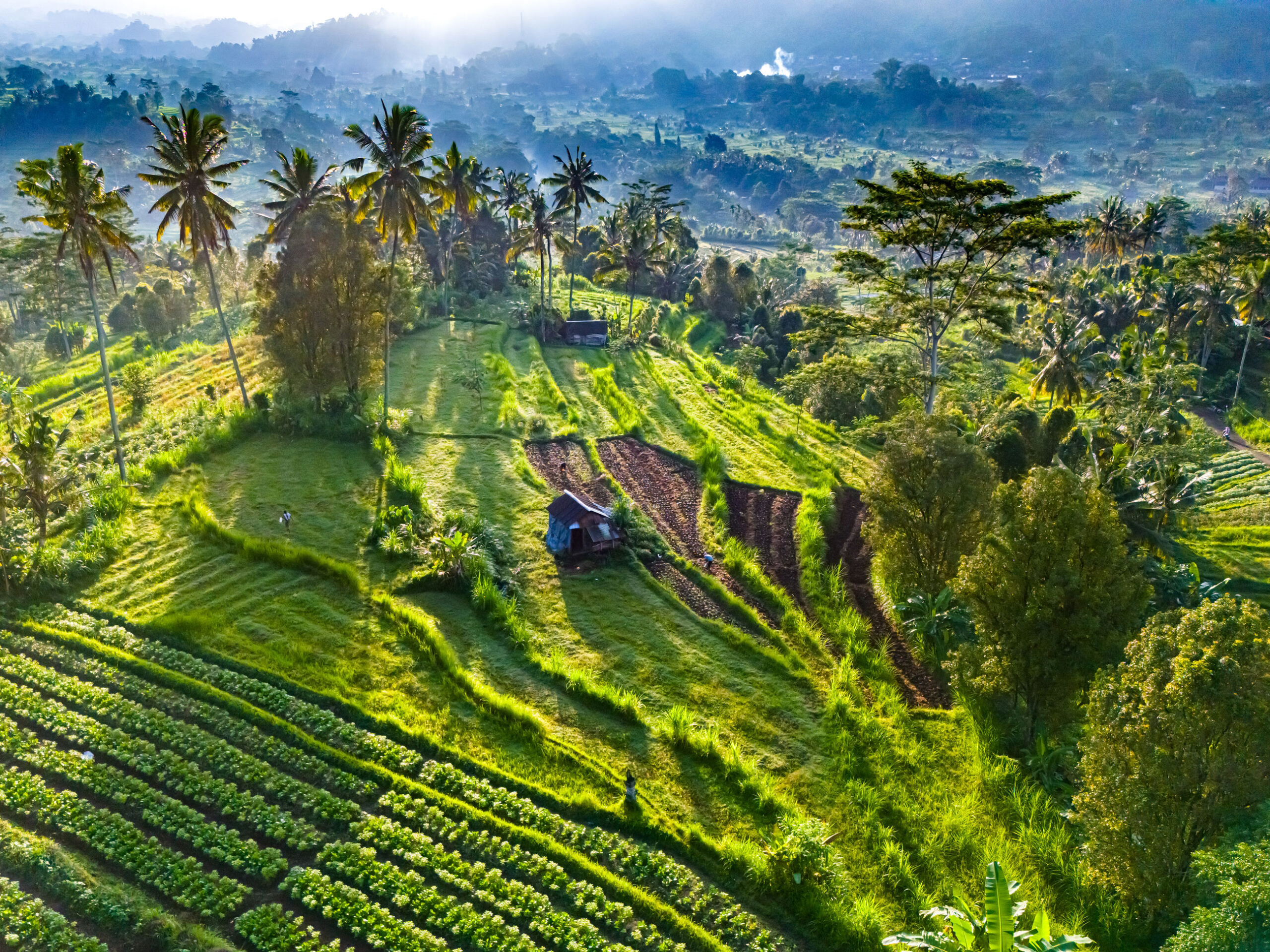 Sidemen Valley, Bali