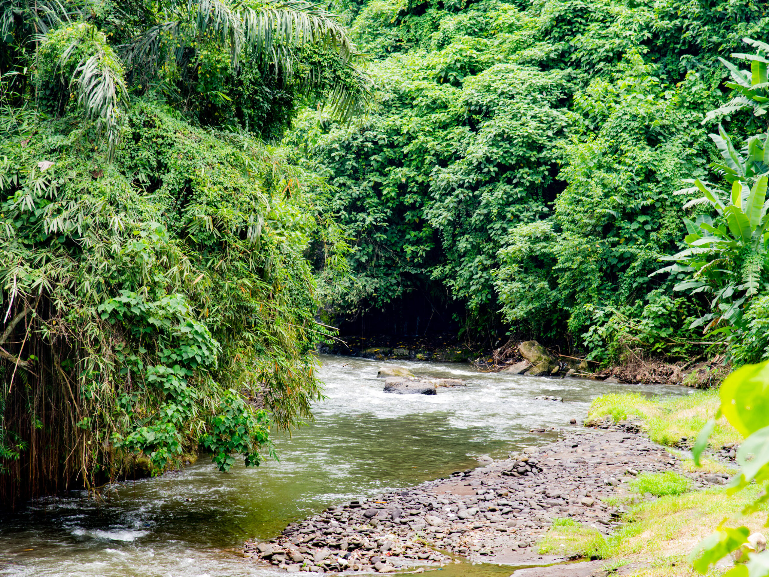 a jungle river in Bali