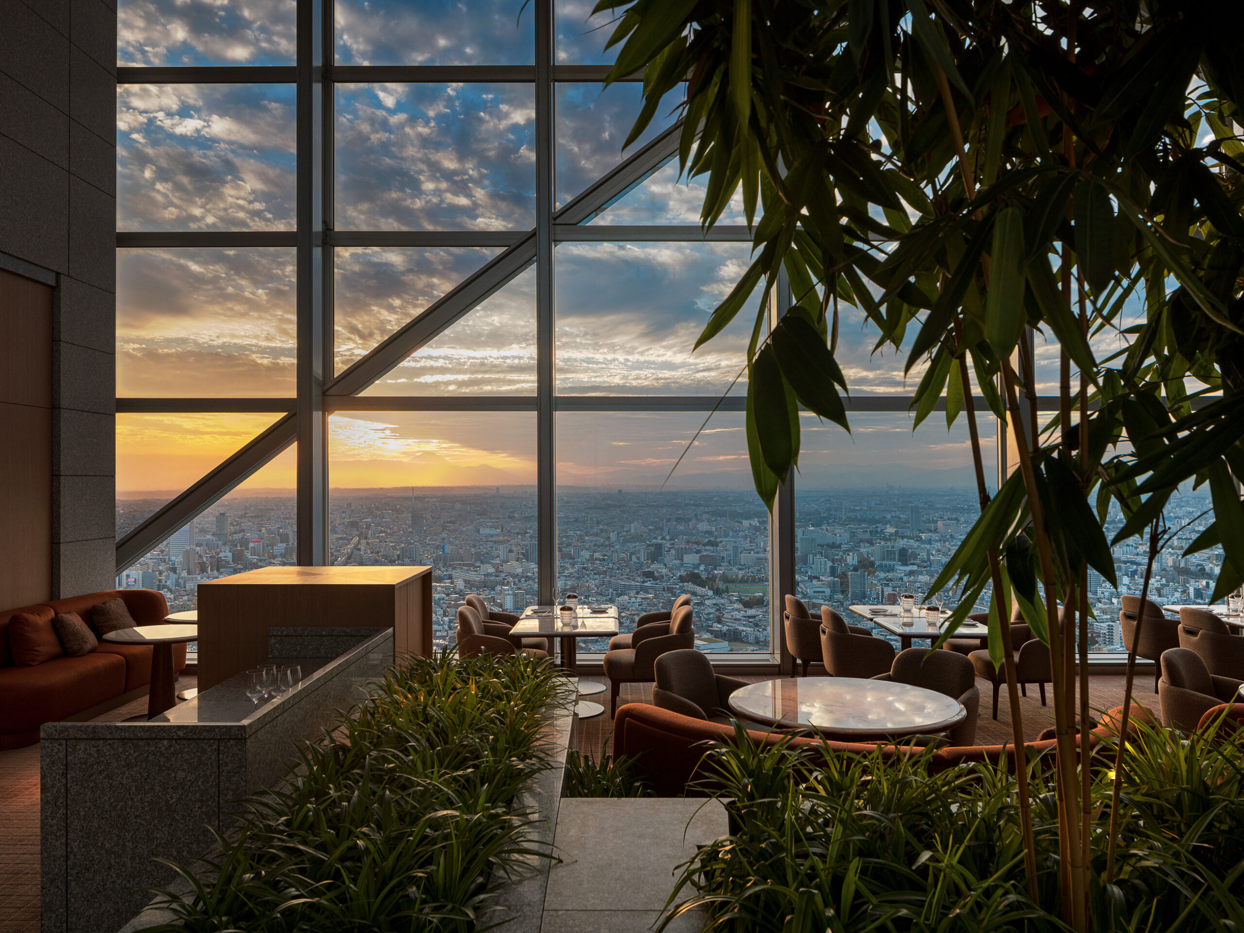 The Peak Lounge & Bar at Park Hyatt Tokyo